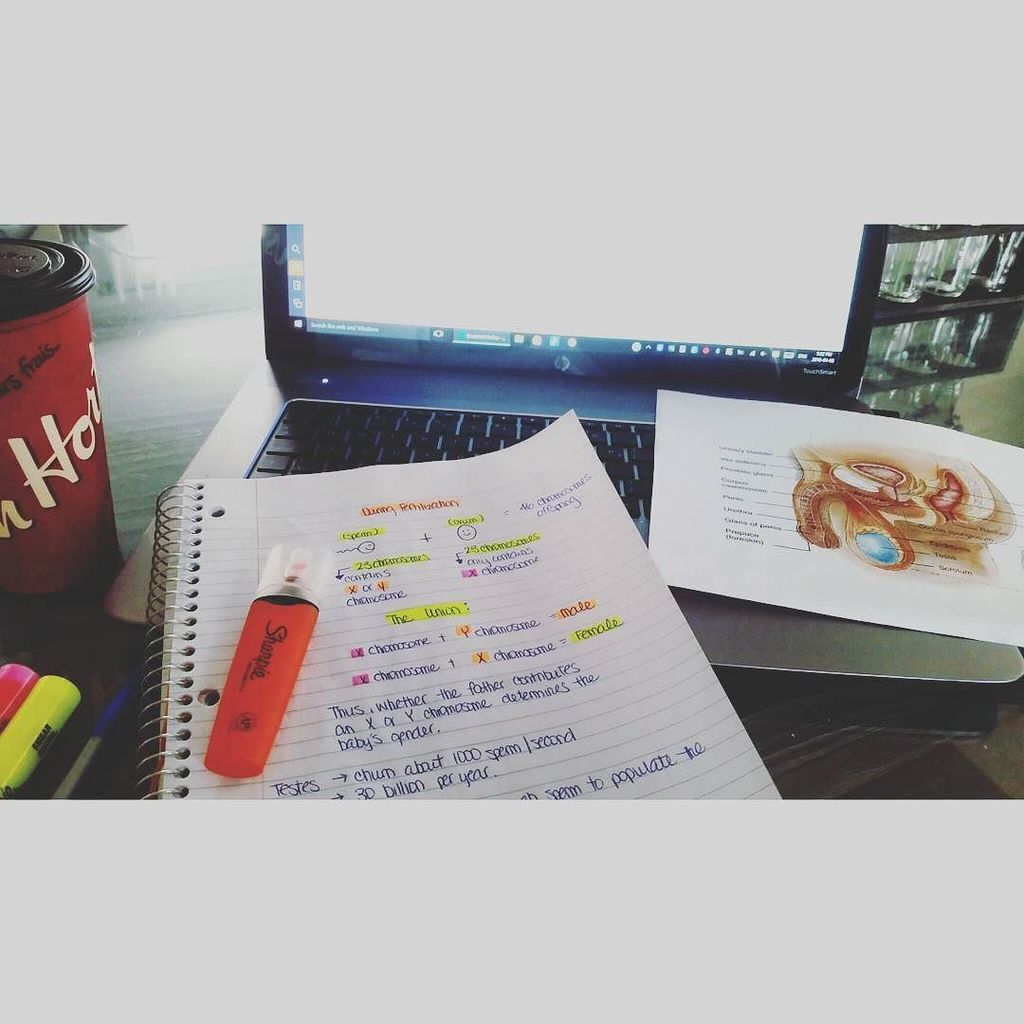 TheCaringTimes_'s tweet image. Work all day ➕ study all night 😭 #myeyeballshurt #midterms #cramsesh #fertilization #rn #goals #nurseslife #nursing…