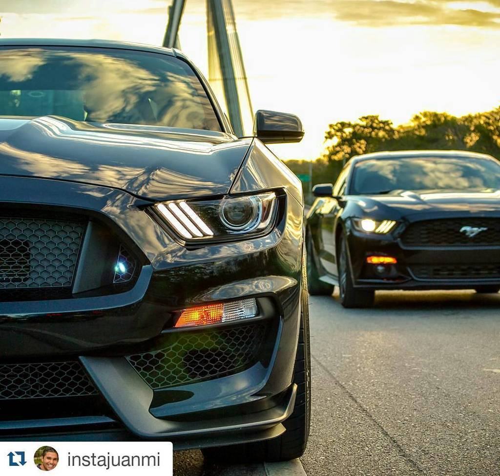6genmustangrd's tweet photo. #Repost @instajuanmi
・・・
Shelby GT350 y Ecoboost... no more info is needed https://t.co/LB2gFcbCAY https://t.co/KWd5lApmXT