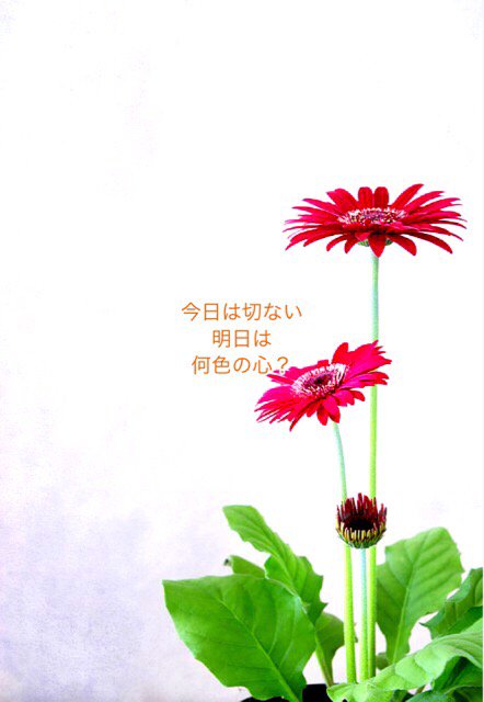 #pomeetry #愚痴 pomeetry.com/123032?utm_sou…