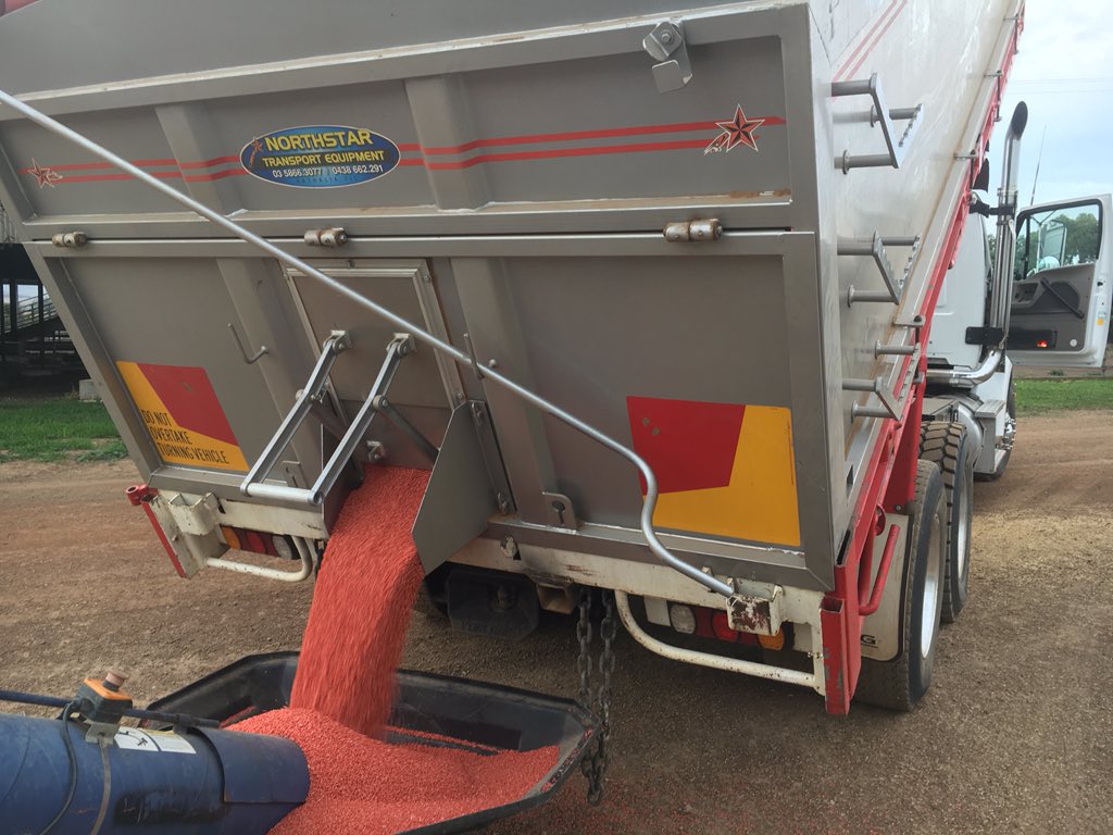 clarkeyatc's tweet photo. Trojan wheat all cleaned ready to sow #prayforrain https://t.co/s53L9gNvOq