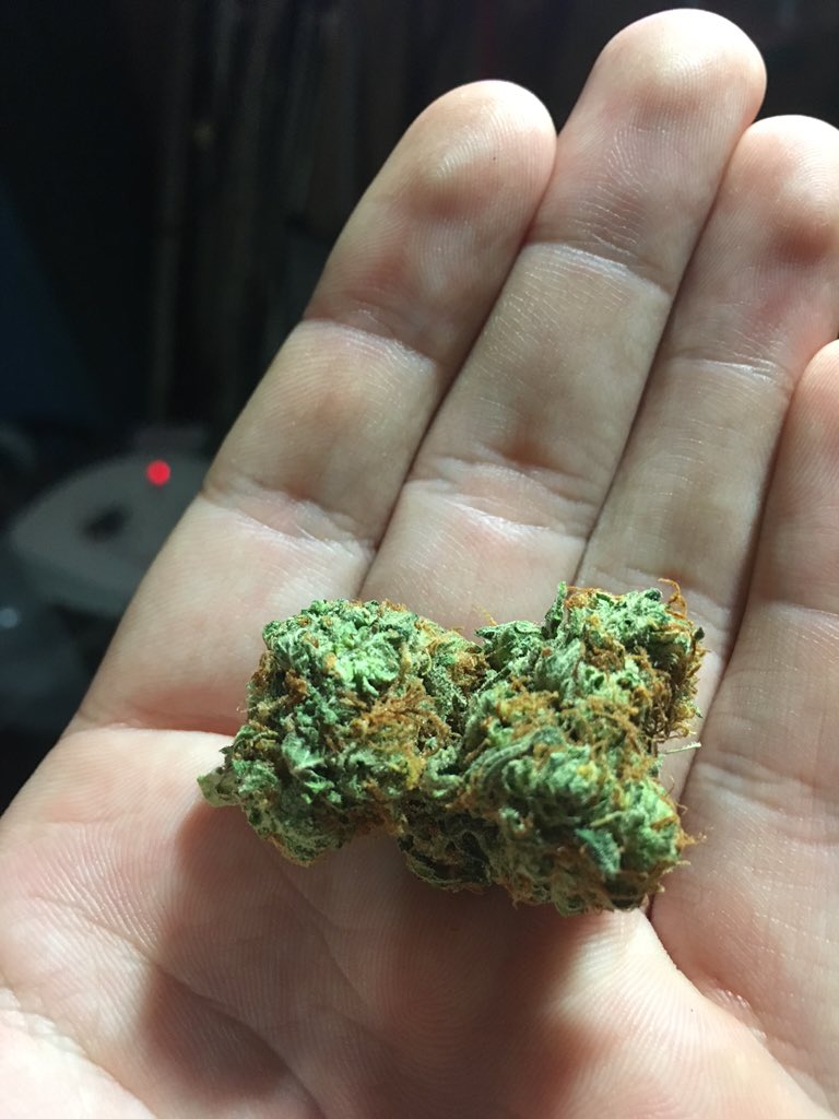 ashingmyblunt's tweet photo. Chicago, IL https://t.co/QHP2hvSIZ9