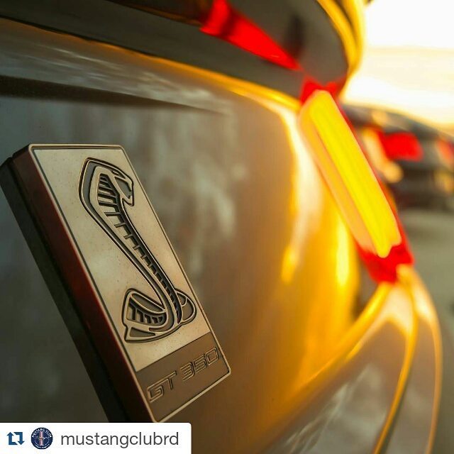 6genmustangrd's tweet photo. #Repost @mustangclubrd
・・・
#TaillightTusday al estilo #ShelbyCobra 
#ford #fordperformance… https://t.co/P5ApfpMZJr https://t.co/wr9z2v8EWL
