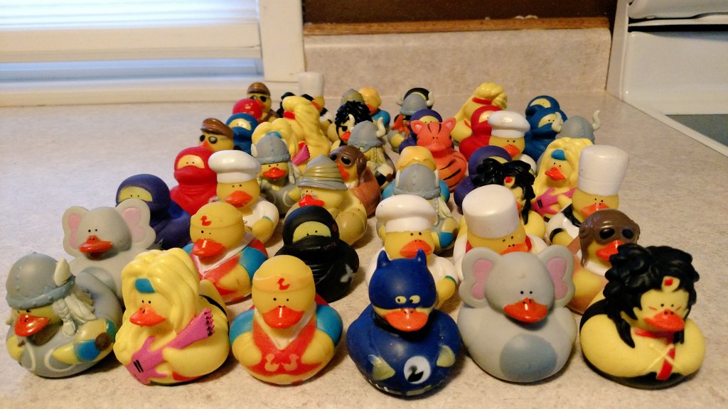 SaraHackbarth's tweet photo. This wacky crew of ducks will soon be looking for homes. I'm hoping you can help. More to come! #YESSDuckDerby https://t.co/B7q8rejwsC