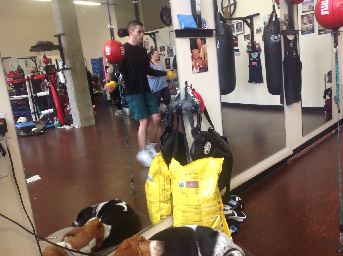 ArcaroBoxing's tweet image. Hounds and class #homeofthehounds #authenticboxing #authentichounds