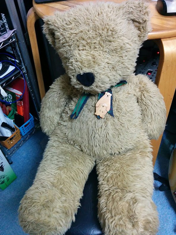 ノースアメリカンベア ファミリーセット レア マフィー&ホッピー付き