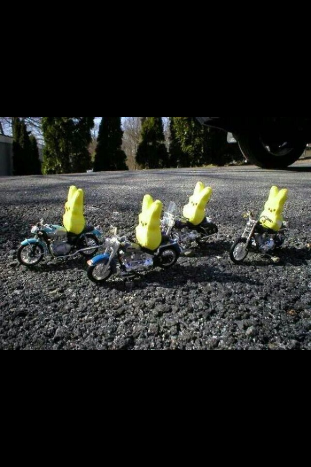 Mouzer6942's tweet photo. Happy Easter To All My Biker Peeps! https://t.co/9zd8s1mnt1