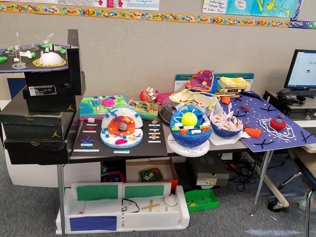MrLongClassroom's tweet photo. A whole lot of Animal &amp; Plant Cell 3D Models in the classroom today @budewigbulldogs @AliefScience https://t.co/I0ctvpfbTZ