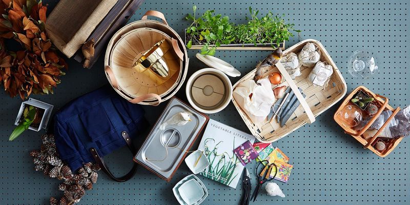 stephsharp5's tweet image. Loving my new #raisedbed gardens this year! #ediblelawns  buff.ly/1UOeeTl