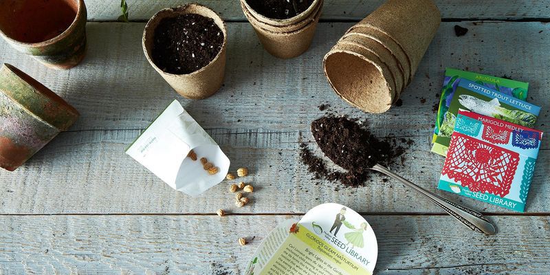 stephsharp5's tweet image. Loving my new #raisedbed gardens this year! #ediblelawns  buff.ly/1UOeeTl