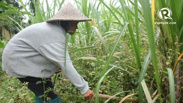rapplerdotcom's tweet image. WATCH: Bukidnon farmers fight against hunger s.rplr.co/AgE9l2g #HungerProject