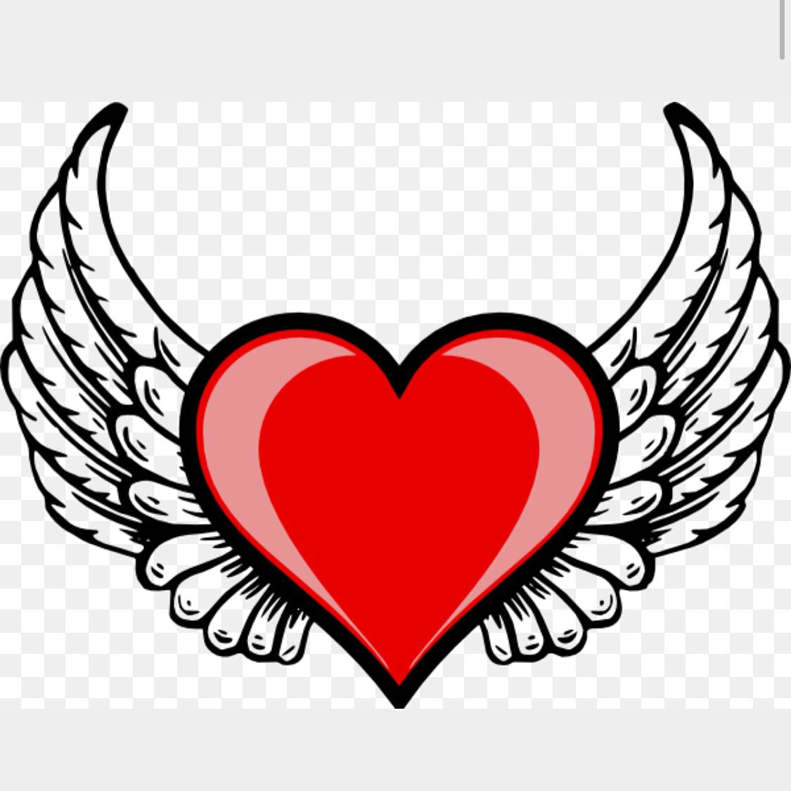 flyvibes_'s tweet photo. #OFFICIAL ✈️❤️ #LOGO #FlyVibes https://t.co/8U7y9pfRK9