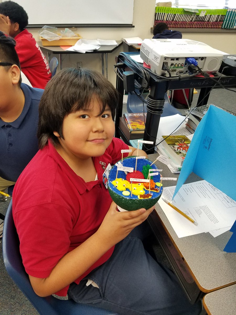 MrLongClassroom's tweet photo. Plenty of hard work went into creating their 3D Cell Models https://t.co/UrGaoKVDm8