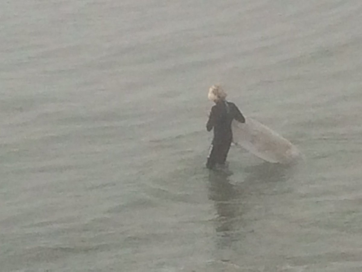 QUinLAProgram's tweet photo. Beautiful foggy, moody evening in LA after sunny day in the 80s!  Come for Fall! Learn to SURF! #QULAGreatWeather https://t.co/mi5gurhFzQ