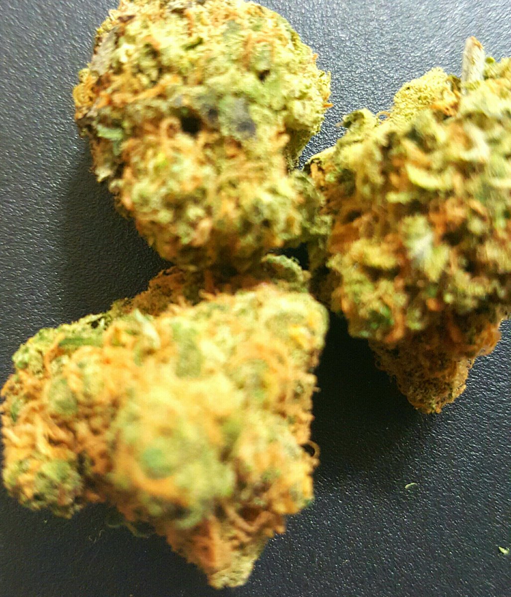OHCS202's tweet photo. FROOTLOOPS!!! #FRESH #Hybrid  RT!@MarijuanMedical @weedfeed @stillblazingtho @rt_weed @MMJHotline $35 CAP on 8ths https://t.co/ttlDMk1QQv