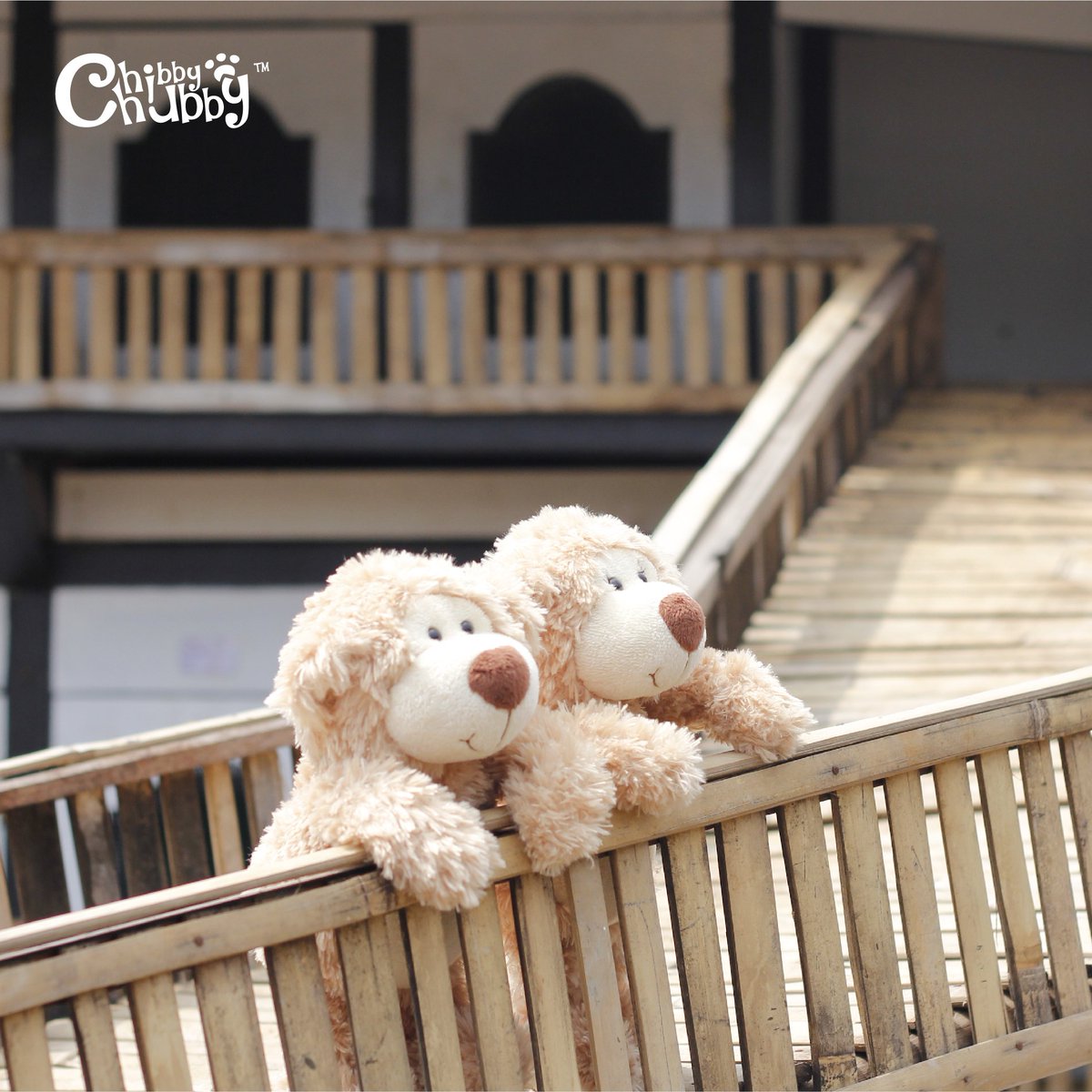 Willie and Chloe would #bringthehappiness everyday. Get both of them only at Chibby Chubby.