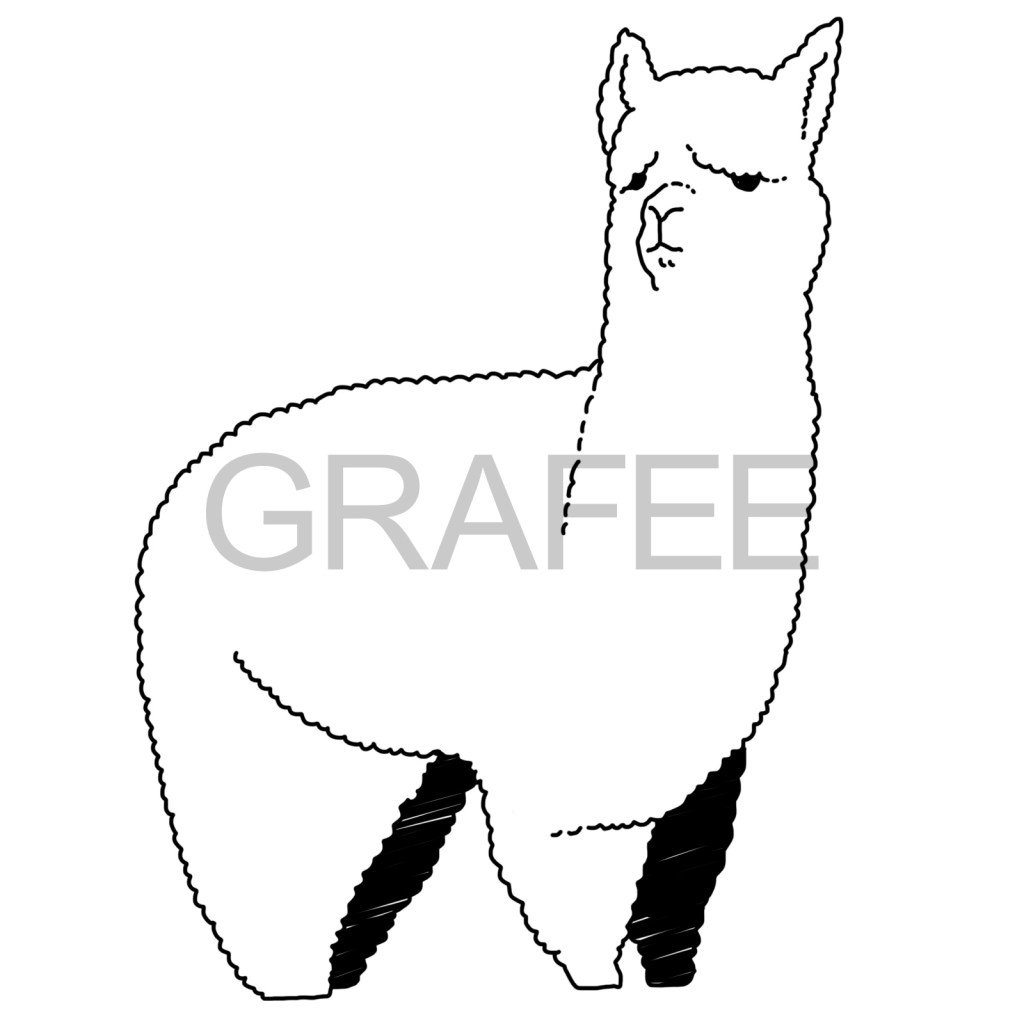 Grafee グラフィー Grafee Official Twitter Grafee グラフィー Grafee Official Twitter