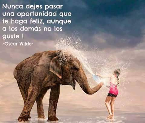 itxivillar1968's tweet image. 