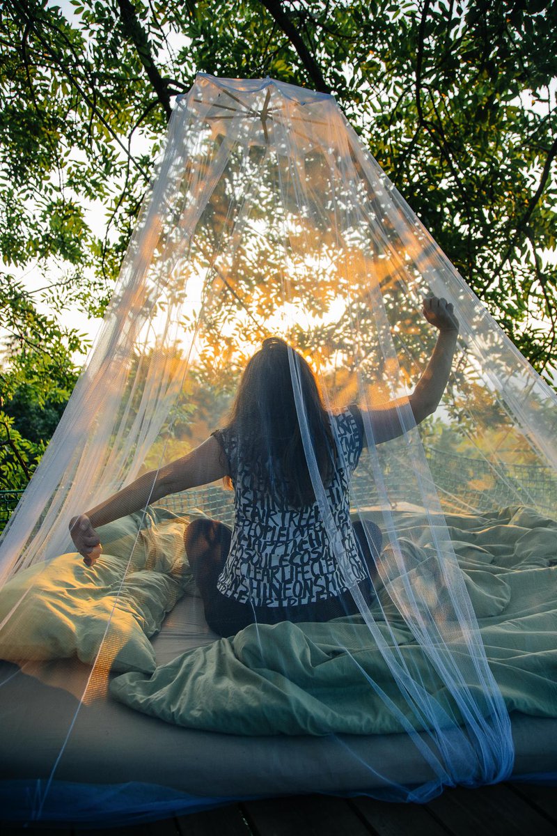experiencetree's tweet photo. Waking up in #treetops in @PeopleTree clothes #naturelovers #Slovenia #sleeping in #treebed. https://t.co/UGvHUKUa8T https://t.co/OAyHOHwHR0