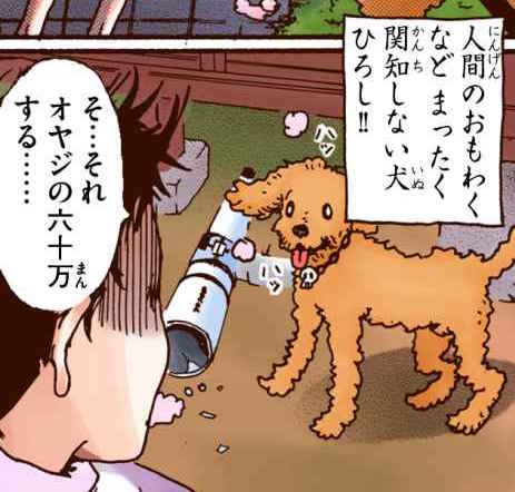 おはようございます!
今朝は「忠犬ハチ公の日」にちなんで
シュガルンを代表する忠犬(?)
ひろしが登場?♩
#シュガシュガルーン #フルカラー連載 https://t.co/Gus81VnXCT (スタッフ) 