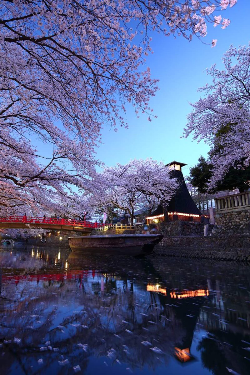 イクゾー 16 4 5水門川の桜 撮り納め 16桜 夜桜 大垣市 水門川 桜 T Co Gkzes9kycp イクゾー 16 4 5水門川の桜 撮り納め 16桜 夜桜 大垣市 水門川 桜 T Co Gkzes9kycp