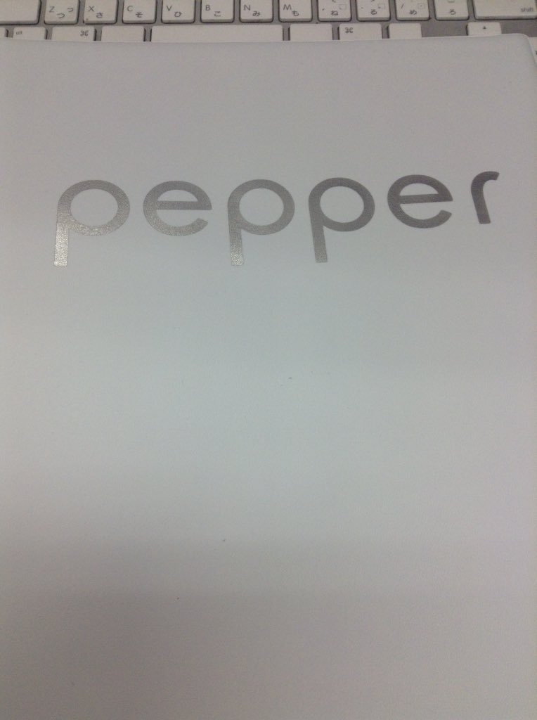 DenShigematsu's tweet photo. 豪華な Pepper マニュアルが届いた。丁寧に書かれてあって良さそう。ほとんど徒手空拳状態で触ってきたので、公式ドキュメントあるとそれなりに使える ^ ^ https://t.co/lEfESkTisQ