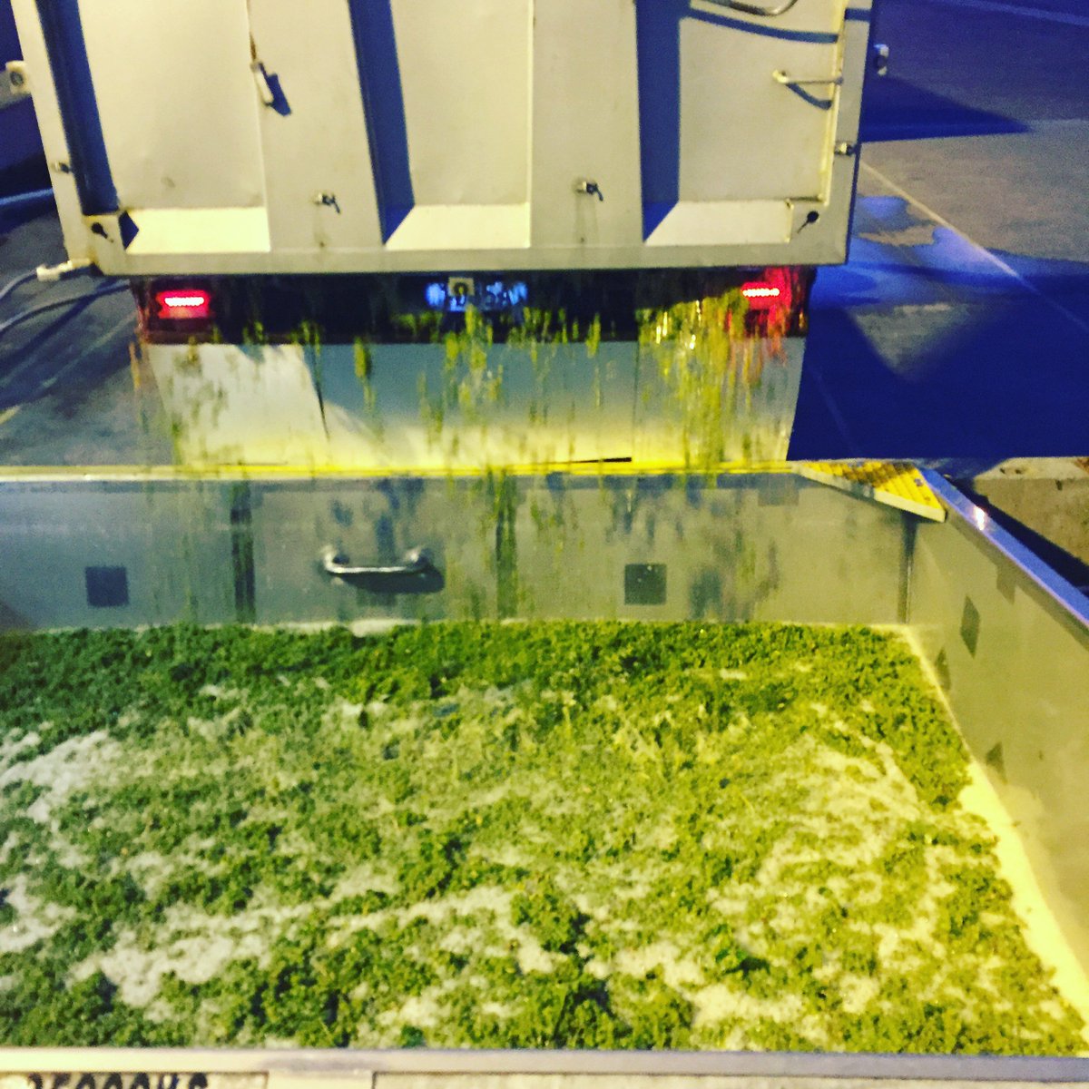 This_is_Indevin's tweet photo. The grapes just keep flowing in #vintage2016 #nzwine #thisisindevin https://t.co/n0XXcjxy0d