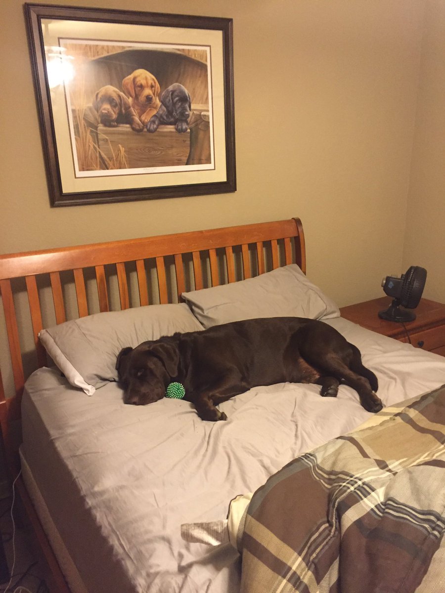 CrewCp's tweet image. When you just can't life anymore.... @ChelseaMaguffee