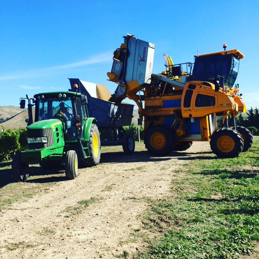 This_is_Indevin's tweet photo. Another stunning day in the vineyard in Marlborough today! #vintage2016 #nzwine #thisisindevin #boomtown https://t.co/iO3ErZzyBU