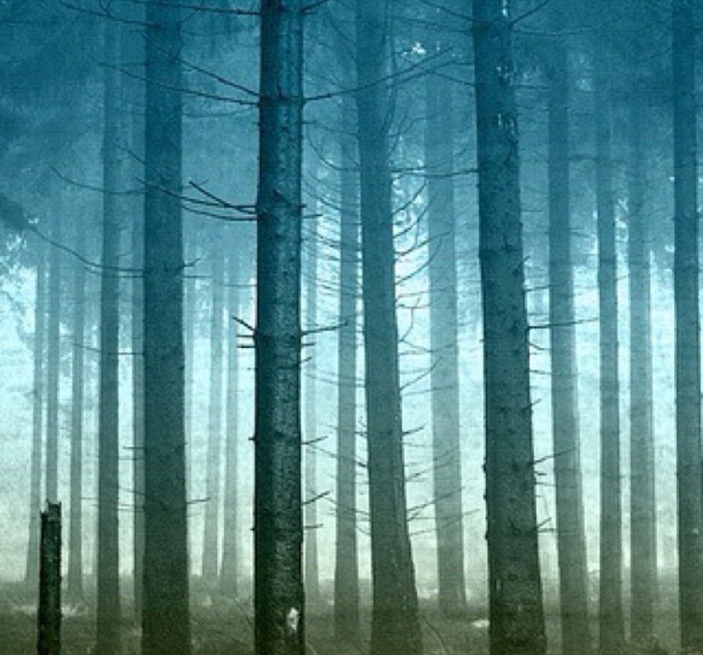 ZUltimateFallbr's tweet image. Look at the helper’s stance senseipaulcalabro.wordpress.com/2016/04/06/loo…