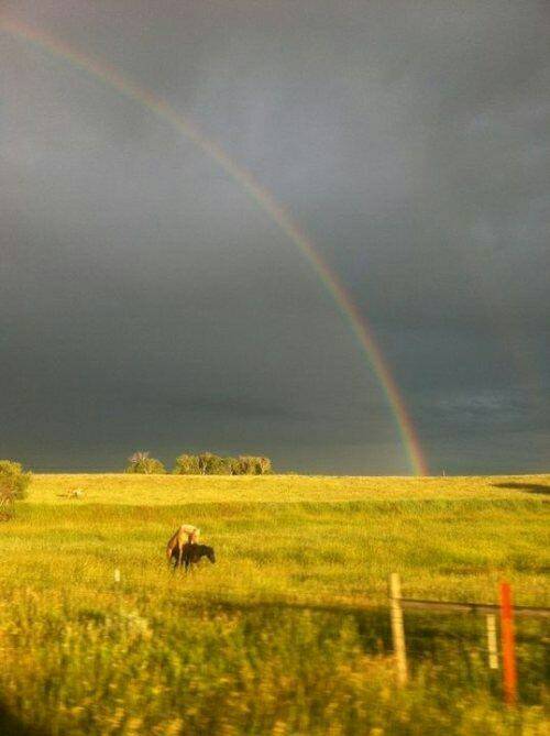 DisturbReaIity's tweet photo. This is how unicorns are made https://t.co/woDPjQSG7p