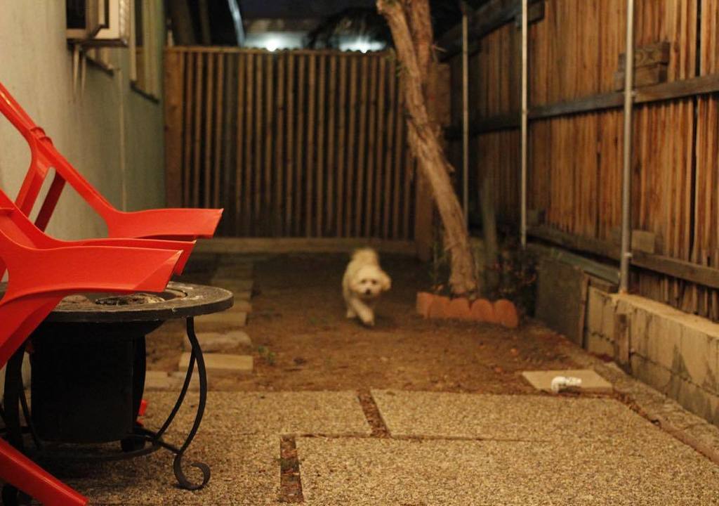 inBARBIESworld's tweet photo. #photochallenge #day5 #afterdark #nightpee https://t.co/QUzhGmbq8j https://t.co/441NbYIeKc