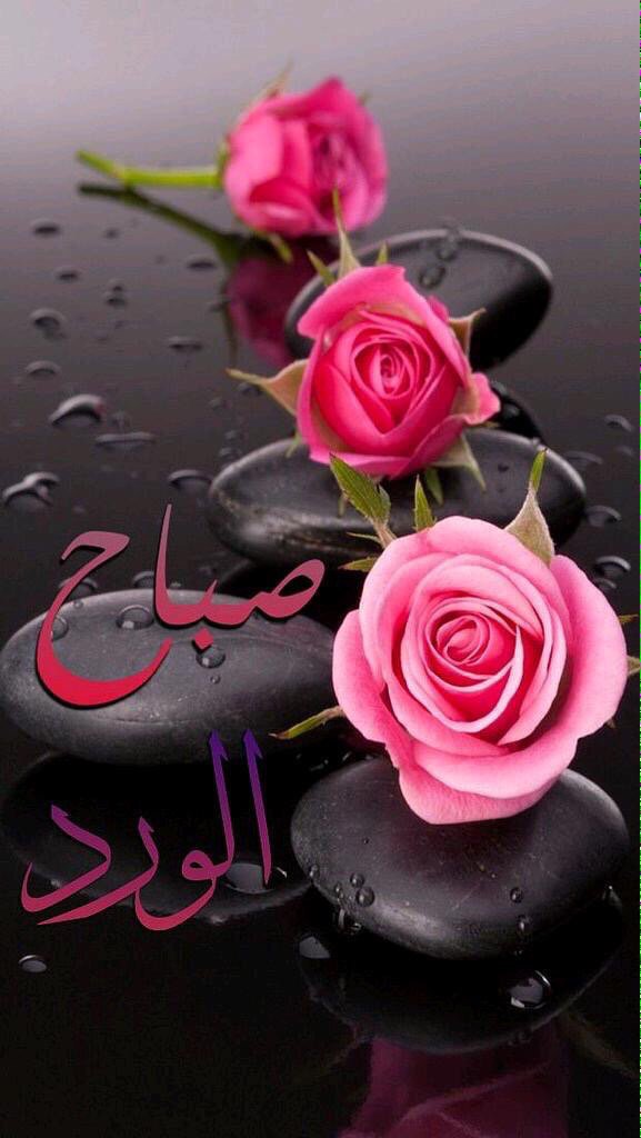 hananalattar72's tweet photo. 💖✨
#القرآن_حجة_عليك !

صــ 352 ــفحة 

🌼 الحرمان ، أن تقرأ كلّ شيء إلا القرآن .! 🌼 https://t.co/ljvV3me5ez