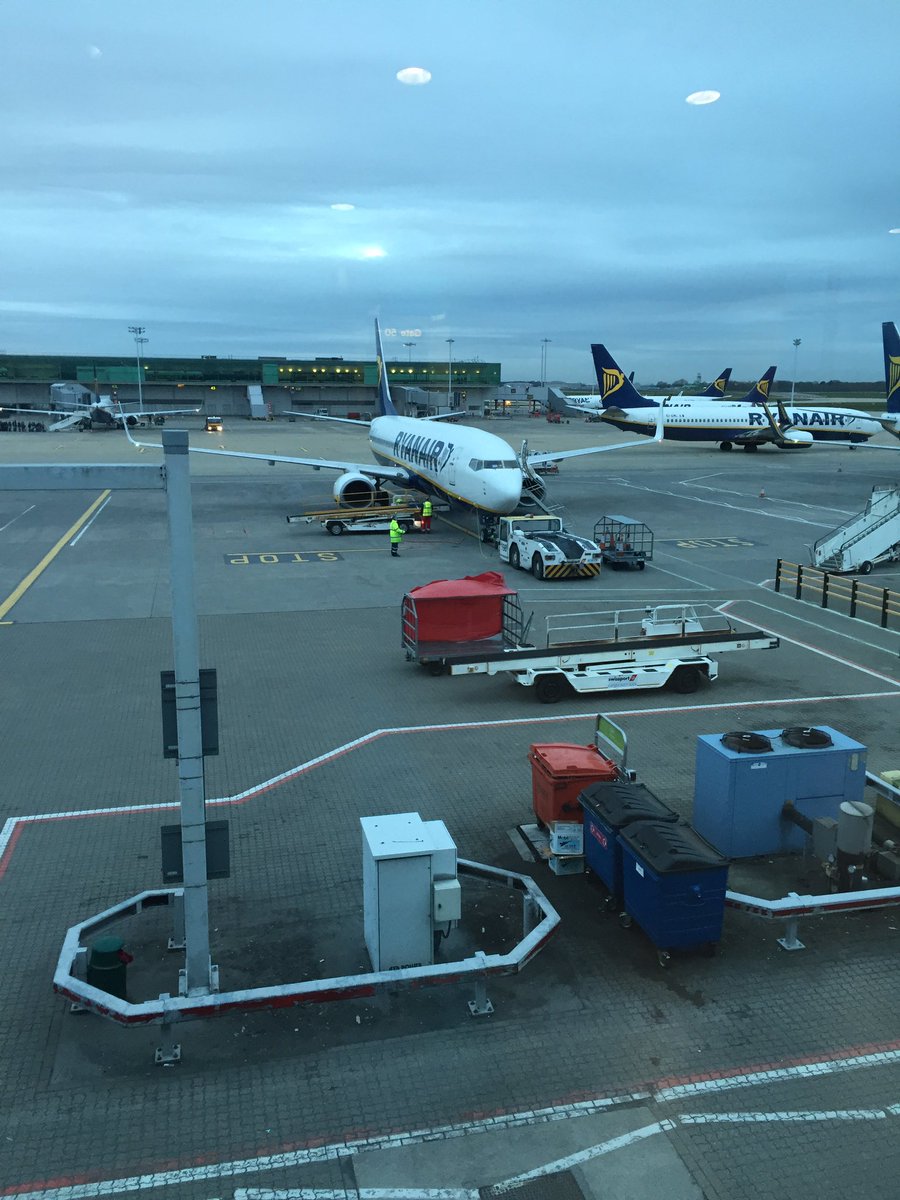 Chris Bailey tweet media