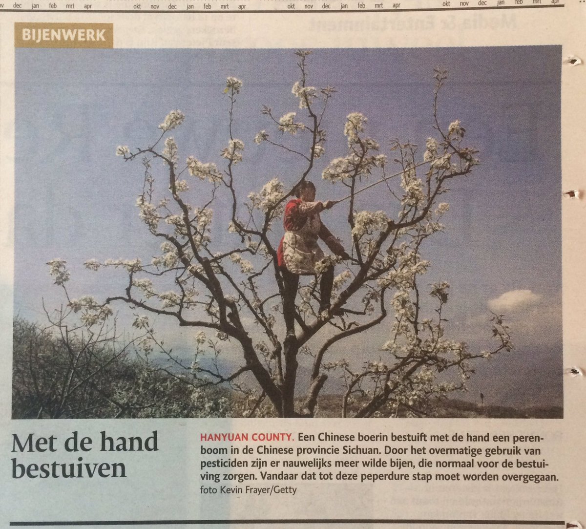 Duidelijker kan niet! Daarom moeten we dus zuinig zijn op onze #bijen <a href="/bdtilburg/">Brabants Dagblad</a> <a href="/food4bees/">Stichting Food4Bees</a>