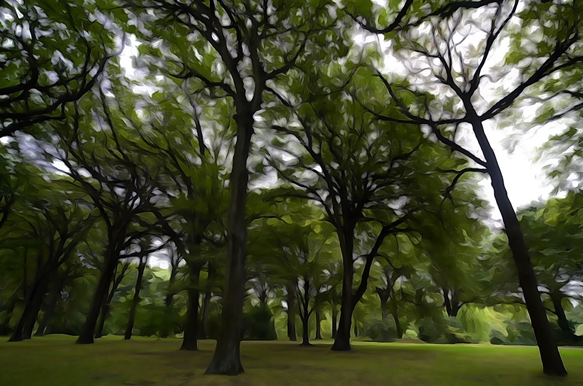 Sigre_World's tweet image. Who needs to #paint when my @Sony #a7Rii camera can paint for me? #funwithphotography