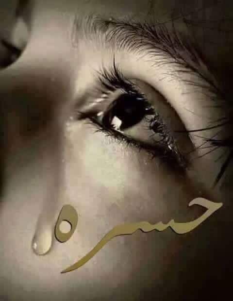 لاتحبني ابغير #واهس
المحبه ابغير واهس #فاتحه
بصفهاا عرس.....