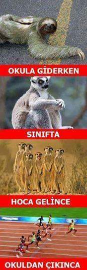 Katılan Varsa Belirtsin 😂