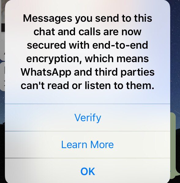beckyjenkinz's tweet image. I pity the poor people that have been third party to some of my messages over the years! #WhatsAppEncryption