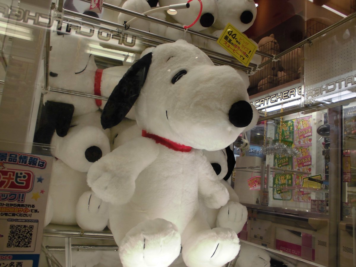 セガイオンタウン名西 景品情報 スヌーピーのでっかいぬいぐるみが登場 犬を飼っちゃダメと言われている家庭でもスヌーピーなら取って帰っても怒られません 多分 是非スヌーピーをゲットして連れて帰ってあげてね T Co Ln6nej9qg8 セガイオンタウン名西 景品情報 スヌーピーのでっかいぬいぐるみが登場 犬を飼っちゃダメと言われている家庭でもスヌーピーなら取って帰っても怒られません 多分 是非スヌーピーをゲットして連れて帰ってあげてね T Co Ln6nej9qg8