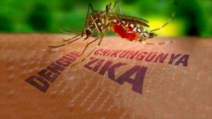 VirusZikaInfo's tweet photo. ¿Cómo diferenciar entre el zika, la chikunguña y el dengue? https://t.co/8Gjd8eDAiy #zika https://t.co/FIubvWecfp