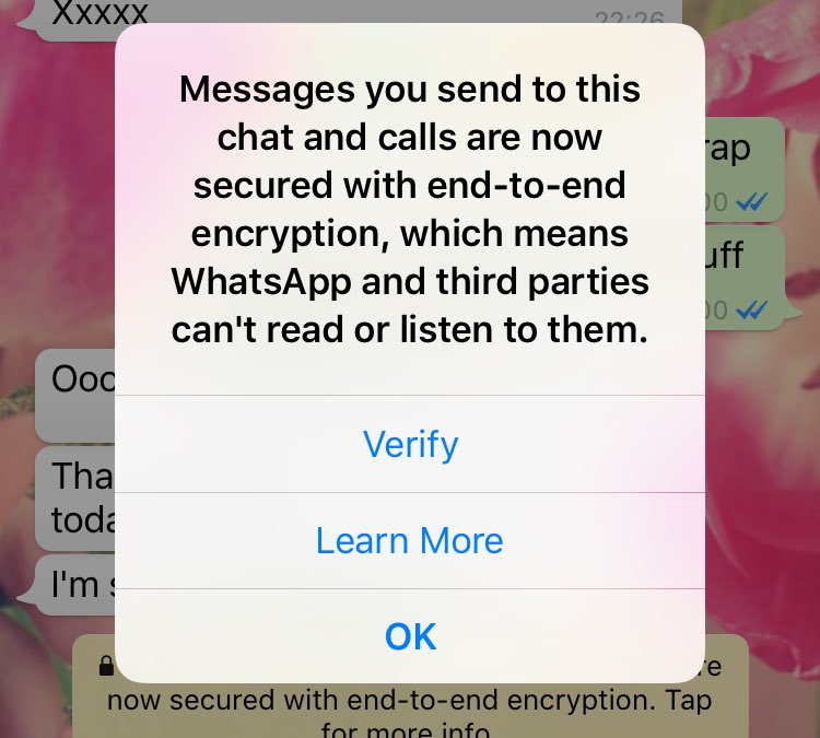 elspeth_xo's tweet image. Has anyone else had this come up on #WhatsAppEncryption #WhatsApp