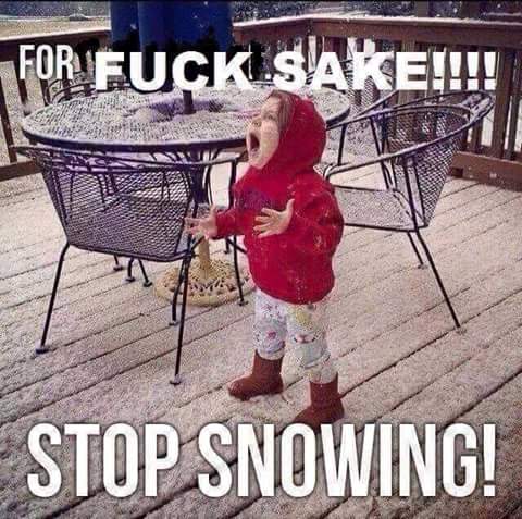 brw9663's tweet image. #spring #Mississauga #canadianweatherproblems