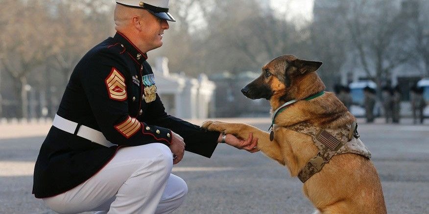 U.S. Marines tweet media