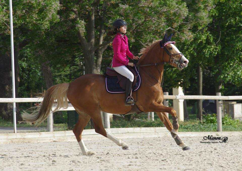 equestrium's tweet photo. Le concours amateur Uzes Equestrium est ouvert aux engagements https://t.co/lqCVBTIXTD https://t.co/r0FHKKUDZ9