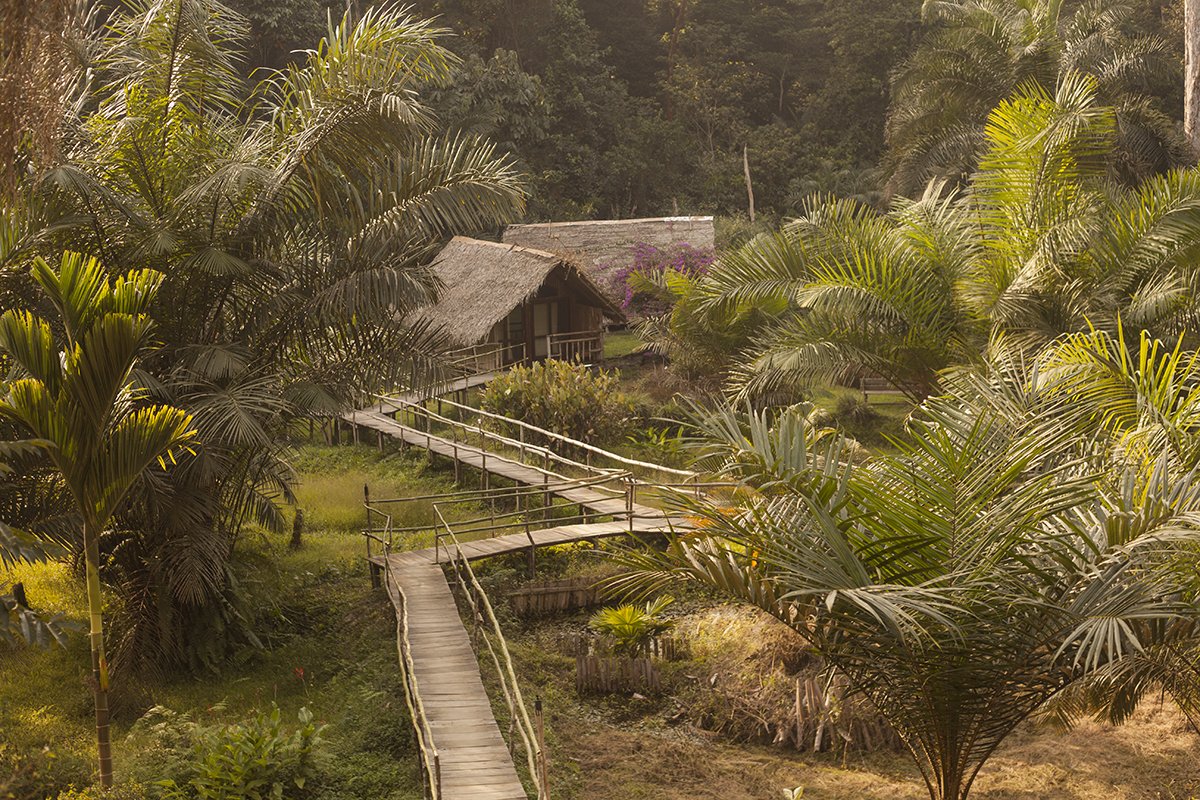 VisiterlAfrique's tweet photo. Si vous passez par le #Cameroun découvrez @ovenglodgecamp https://t.co/7jX7vzxv2j https://t.co/CJxObpa2vj