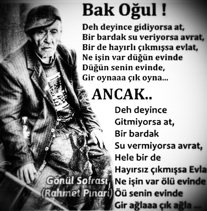 Bak oğul...