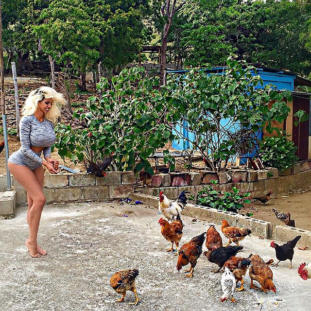NetGizel's tweet photo. The simple life in Dominican Republic 🇩🇴 #bocock https://t.co/gLHUIRJ0gQ