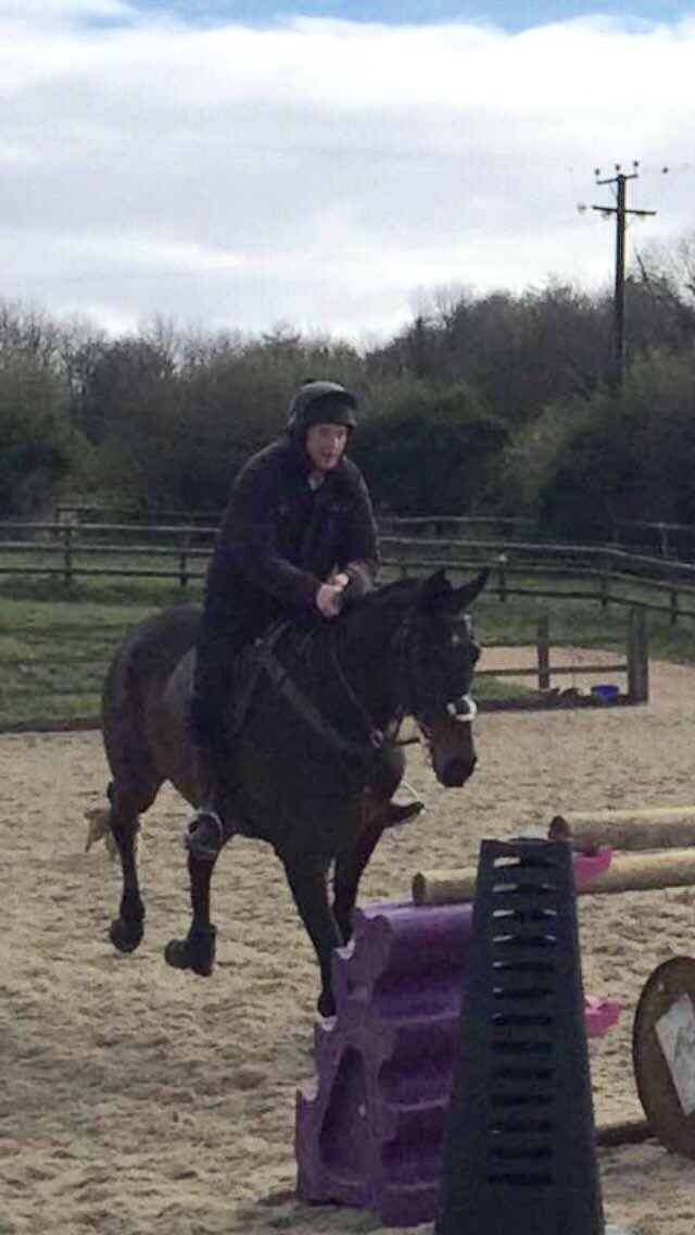 Incredible scenes here <a href="/benpauling1/">Ben Pauling Racing</a>  this morning. Thank god for schoolmasters 🙏🏼 #montyroberts
