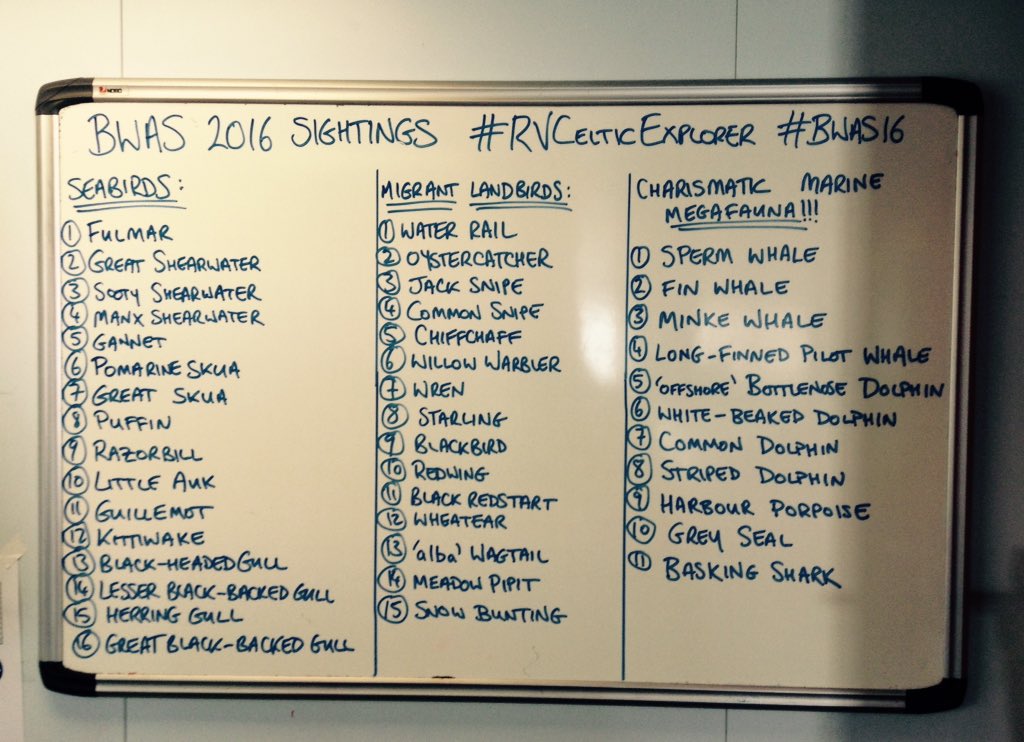 nialltkeogh's tweet photo. The final #seabird and #cetacean species list from the #RVCelticExplorer #BWAS16 survey https://t.co/FYnoLrGWWZ
