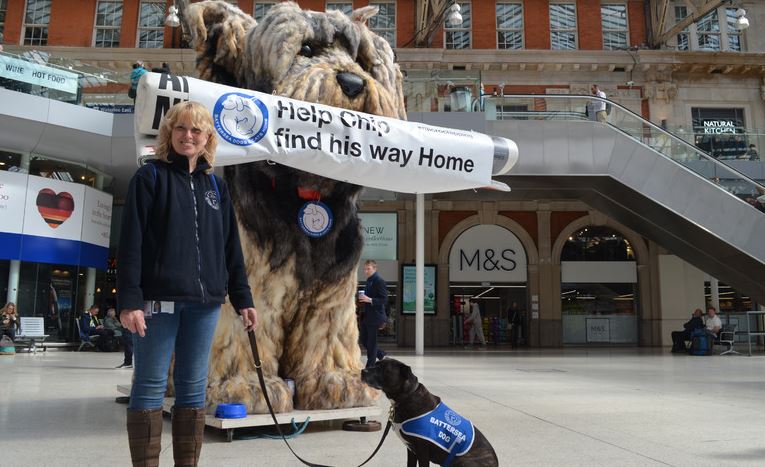 Battersea_'s tweet photo. From today, all dogs in England, Scotland &amp; Wales are required by law to be #microchipped https://t.co/x3blWPunSO https://t.co/4eHx5Ewkki